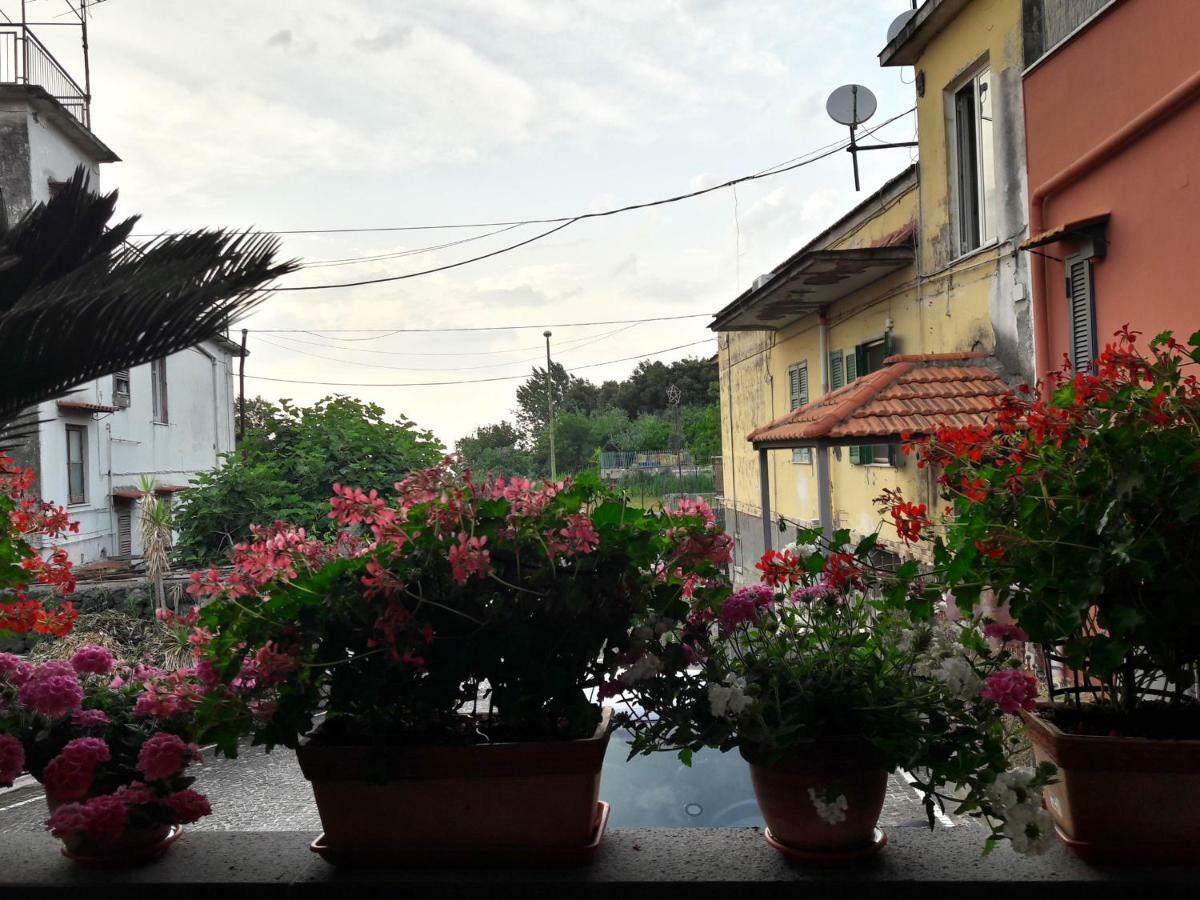 La Caldera Del Vesuvio Bed and Breakfast Ercolano Esterno foto